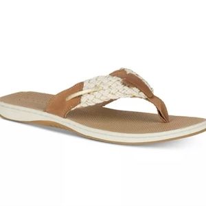 Sperry Women's Sandals
